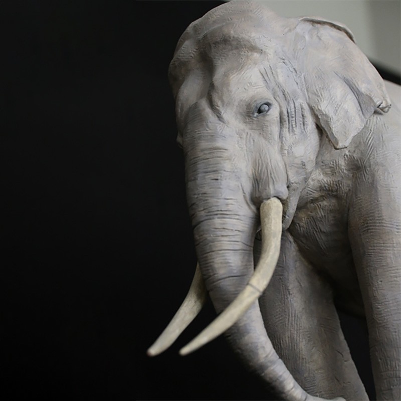 Siam - l'éléphant