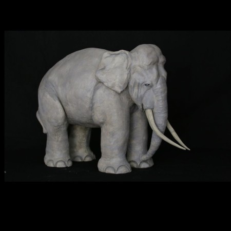 Siam - l'éléphant